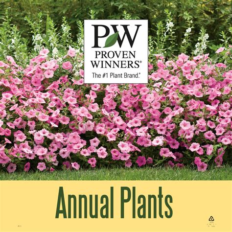 'Annual Plants' 18x18