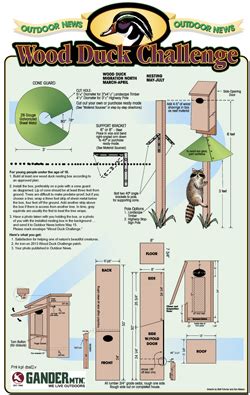 They migrate south from feeding: Exceptional Wood Duck House Plans #7 Wood Duck Nest Box ...