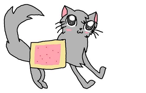 Nyan Cat Nyan Cat Pop Tart Cat Know Your Meme