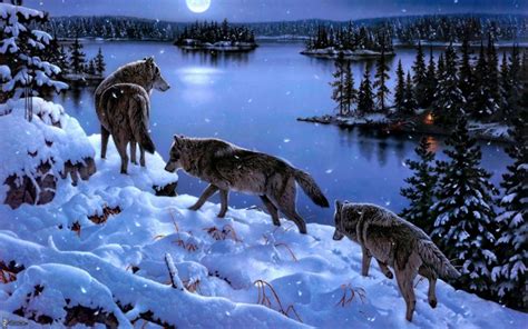 34 Winter Wolves Wallpaper Free On Wallpapersafari