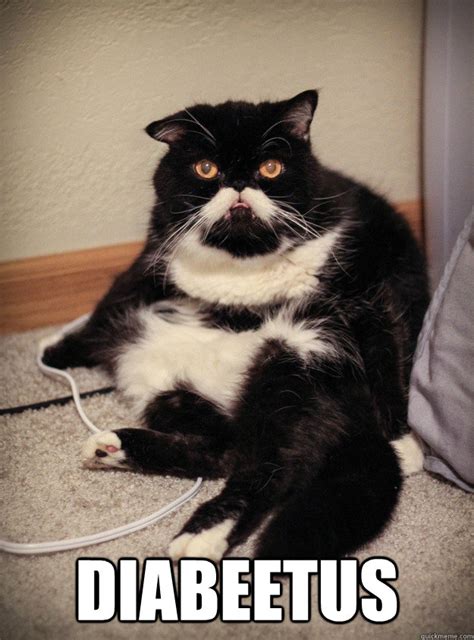 Grumpy Cat Would Like To Talk To You About Diabeetus Wilford Brimley