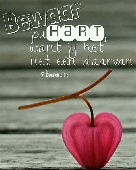 87 best boeremeisie by hart images on pinterest afrikaans afrikaanse quotes and inspiration