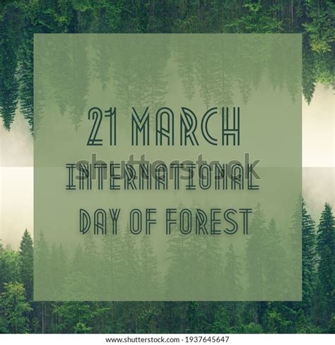 21 March International Day Forests Stock Illustration 1937645647