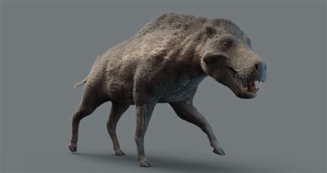 Entelodont The Prehistoric Hell Pig That Weighed 2000 Pounds