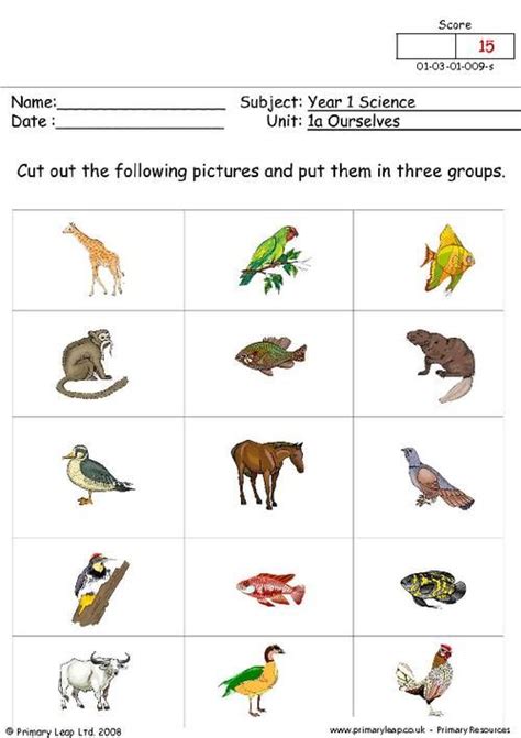 1st Grade Animal Adaptations Worksheet