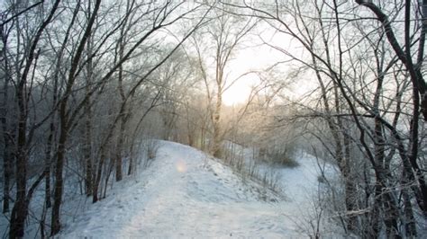 Beautiful Snowy Morning By Ilya2k Videohive