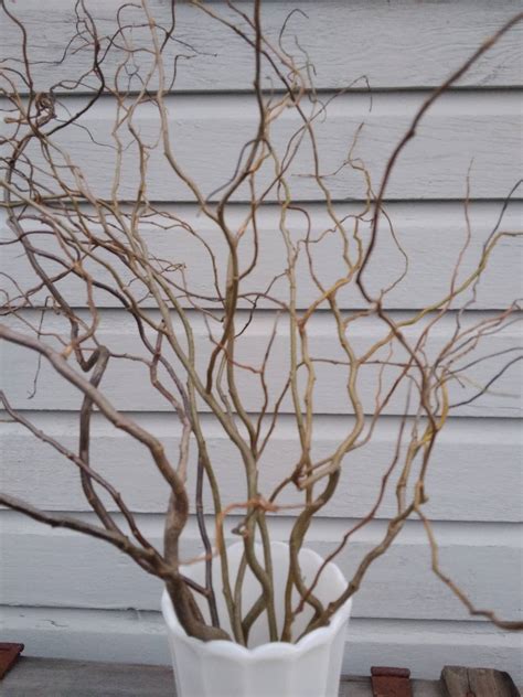 Curly Willow Branches 24 Inches Wedding Floral Arrangement Etsy