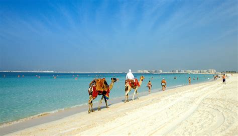 The Best Outdoor Activities In Dubai