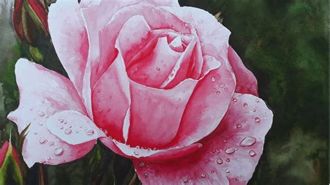 Realistic Rose In Watercolor Painting Tutorial With Water Drop Youtube