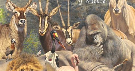 Society Of Animal Artists African Menagerie A Celebration Of Nature