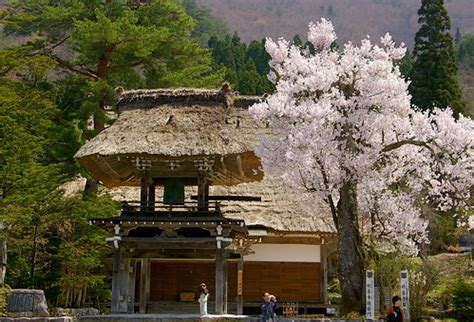 Colección de diego cuellar • última actualización hace 6 semanas. Temple de Myozen-ji / Myozen-ji Temple | El temple de ...