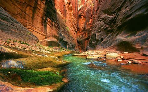 Natural Beauty Amongst Incredible Rock Formations In Utahs Zion