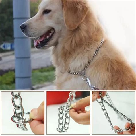 4 Sizes Metal Stainless Steel Chain Martingale Dog Collar Single Row