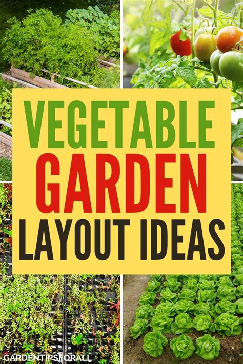 Basic Vegetable Garden Layout Ideas For Beginners