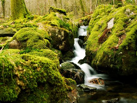 Wallpaper Landscape Fall Waterfall Rock Reflection Grass Moss