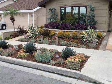 Front Yard Drought Tolerant Landscaping Ideas Southern California