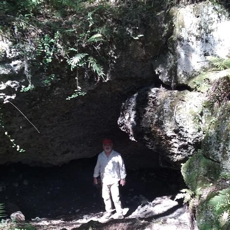 Jeep Cave Withlacoochee State Forest Citrus Tract State Forest