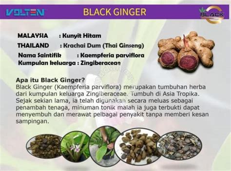 Check spelling or type a new query. Harga RM200 Sekilogram, Ini Khasiat Kunyit Hitam ...