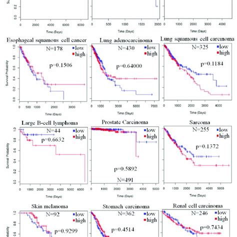 The Prognostic Value Of Microrna A Mir A In Human Cancer The