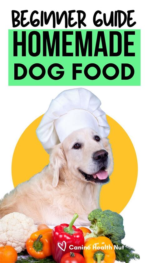Beginner Guide To Homemade Dog Food In 2023 Homemade Dog Food Dog
