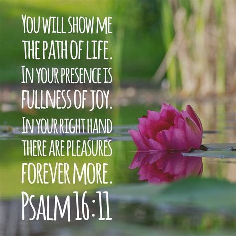 Psalm 16 11 You Make Known To Me The Path Of Life You Will Fill Me