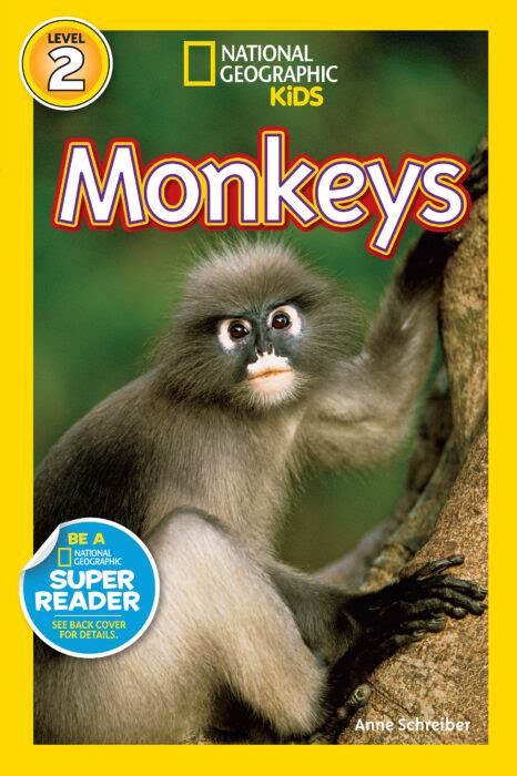 Monkeys By Anne Schreiber Scholastic