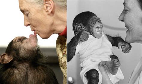 Planet Of The Apes Psychologist Warns Hybrid Humanzees Will Force