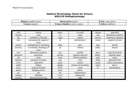Module Medical Terminology Sheet For Urinary System
