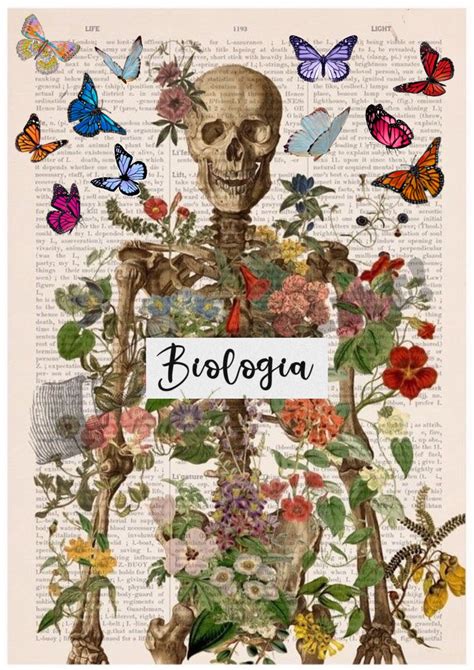 Carátula De Biología Biology Art Book Art School Book Covers