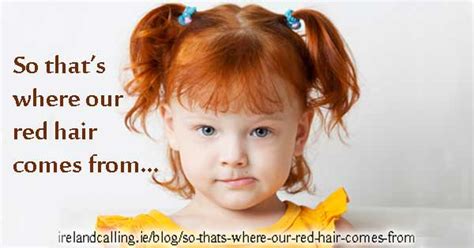 1 he has dark skin and black eyes. So that's where our red hair comes from | Ireland Calling