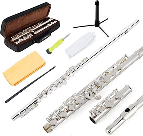 Eastrock Closed Hole Flutes C 16 Key For Beginner Student