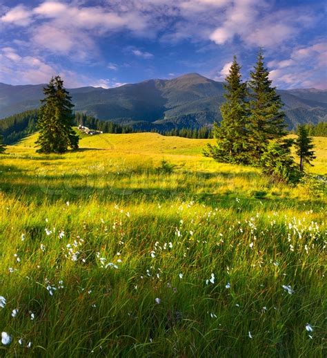 Beautiful Summer Landscape In The Stock Photo Colourbox