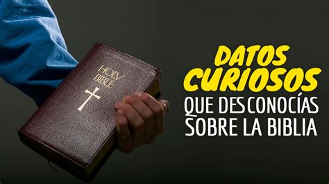 Datos Curiosos De La Biblia Que Debes Conocer Dato Vrogue Co