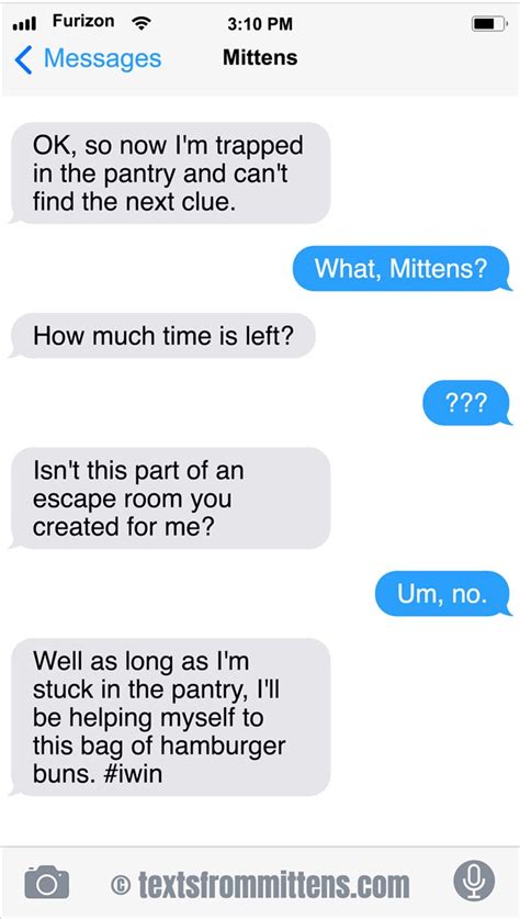 27 All New Texts From The Sassy Cat Mittens That Will Make You Lol Text From Mittens Sassy