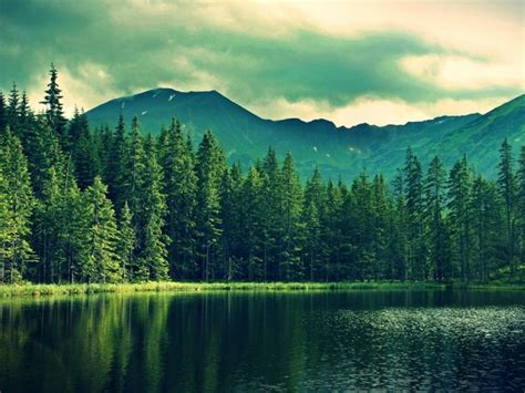 Mountain Green Forest Deep Sea Hd Desktop Wallpaper With Images