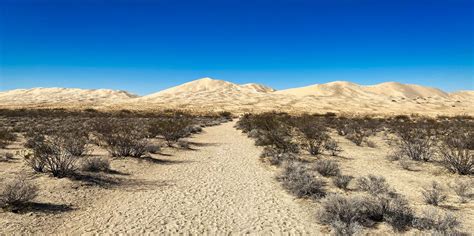 Desierto De Mojave