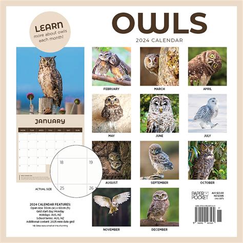 2020 Owls Calendar Square Wall Calendar By Paper Pocket Sold Out