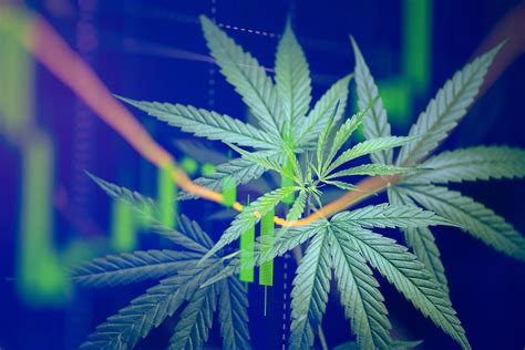 11 Cannabis Stocks Making Moves While Riding The Green Wave