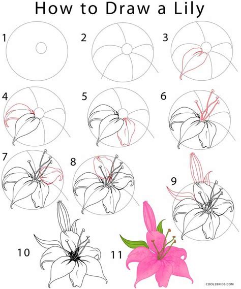 Maybe you would like to learn more about one of these? Flower drawing tutorials, Flower drawing, Flower sketches