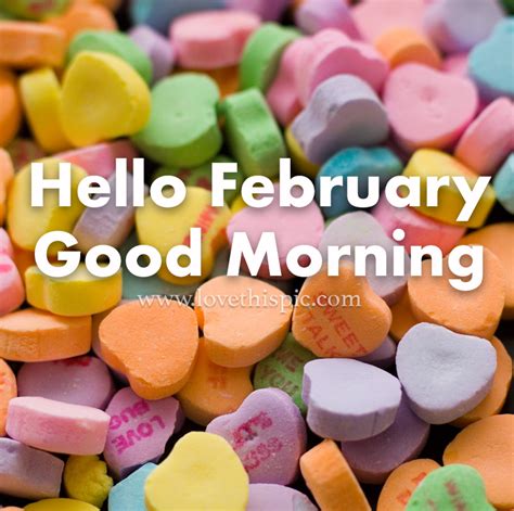 Candy Heart Hello February Good Morning Quote Pictures Photos And
