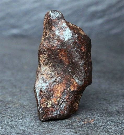 Mundrabilla Meteorite Iron Valid Iiicd Medium Catawiki