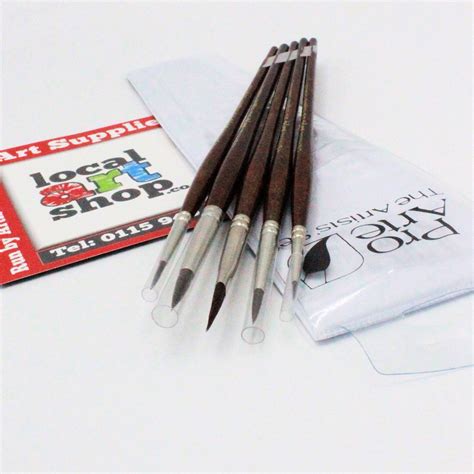 Pro Arte Acrylix Brush Wallet Set Of 5 Artists Oil Or Acrylic Brushes