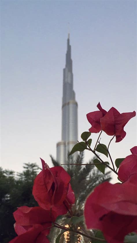 تحميل أفضل برنامج اذان لكافة الأنظمة المختلفة يعد جزء مهم يعد تطبيق صلاتي افضل برنامج لمواقيت الصلاة للاندرويد الموجودة معنا اليوم لما يتمتع من التطبيق يحتوي علي تصميم مميز جداً ويحتوي علي بوصلة لتحديد القبلة ومحول. خلفيات ب