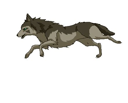 White Wolf Anime Png - Wolf PNG image, free picture download : Free png image