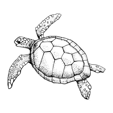 Background Of A Turtle Outline Tattoo Illustrations Royalty Free