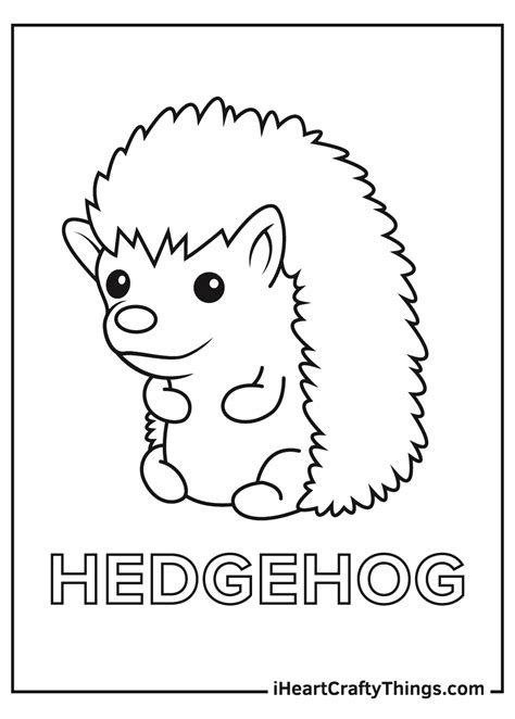 Free Hedgehog Coloring Pages
