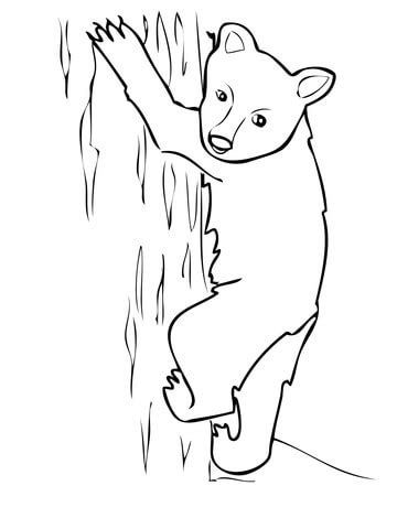 We have lots of bears coloring pages at allkidsnetwork.com. American Black Bear Cub coloring page | Super Coloring