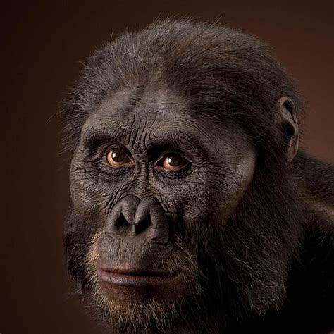 Australopithecus Afarensis Lucy ไดโนเสาร์