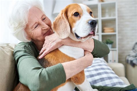 How Pet Therapy Can Help Residents In Aged Care Aged Care Decisions