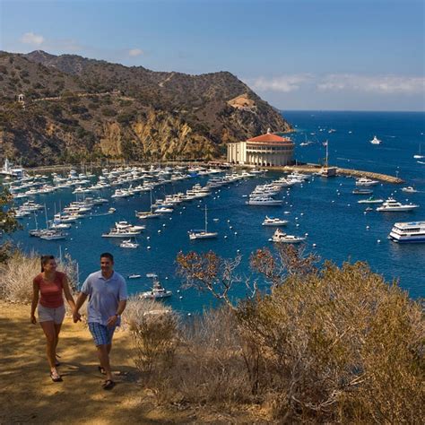 Catalina Island Activities And Adventure Things To Hotel Metropole
